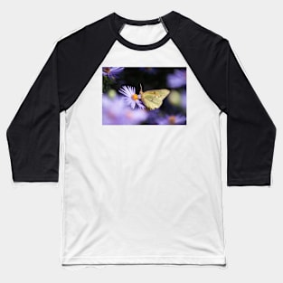 Clouded Yellow and Purple Baseball T-Shirt